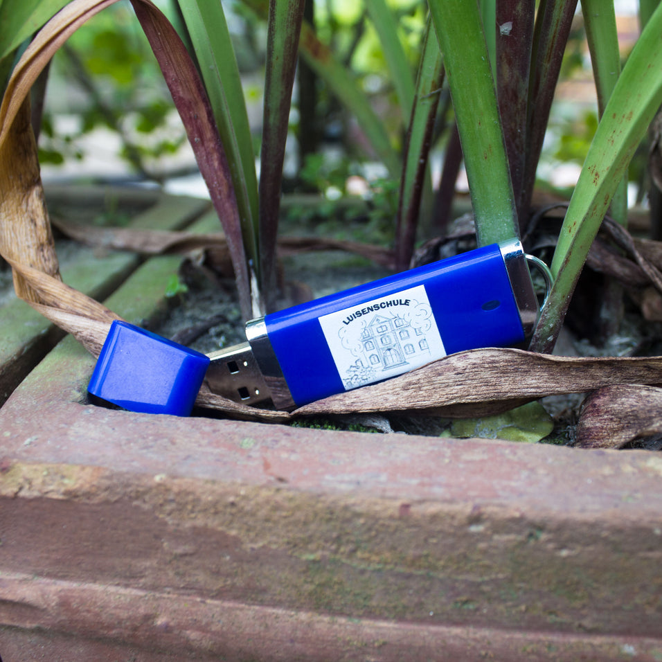 Customized Plastic Body Pen Drive