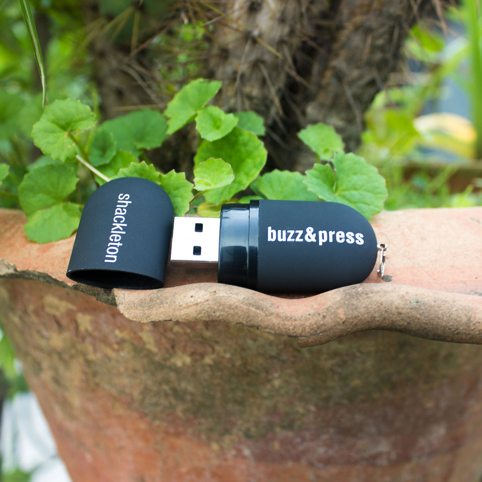 customized corporate plastic body branded pen drive usb flash drive